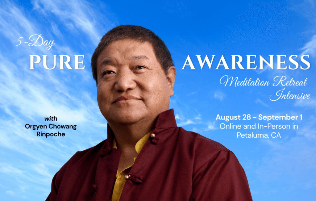The programs featured image